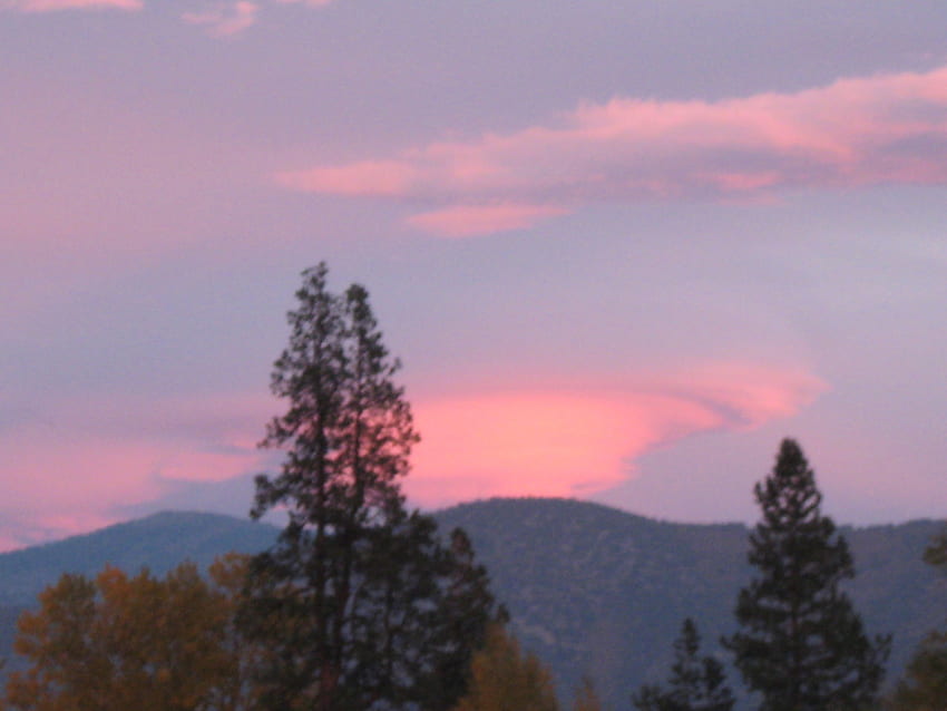 pink nimbus, pink, weird, trees, sky, mountains, sunset, cloud HD wallpaper