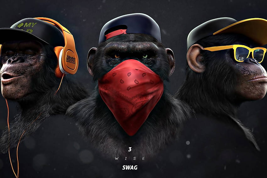 Wise Swag Cool Monkey - Novocom.top, Macacos HD wallpaper