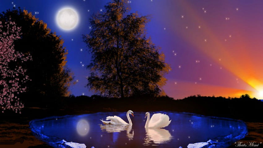 Sunset: Sun Moon Stars Sunset Blue Swans Full Live HD wallpaper