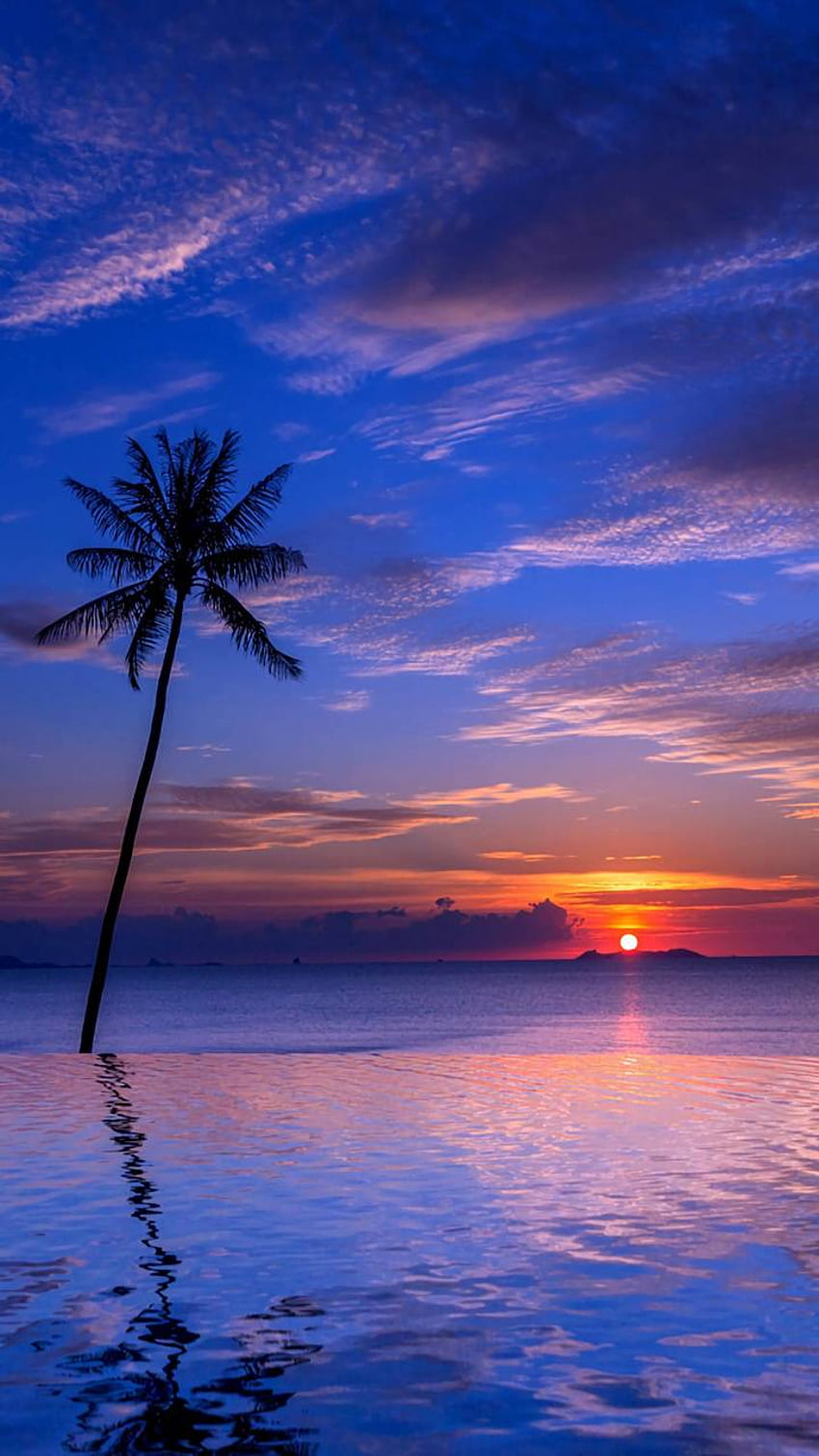 Matahari terbenam tropis, Pantai Matahari Terbenam Tropis Ungu wallpaper ponsel HD