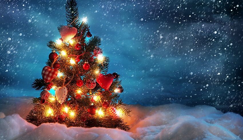 Christmas Tree, Lights, Snow, Winter - Maiden HD wallpaper