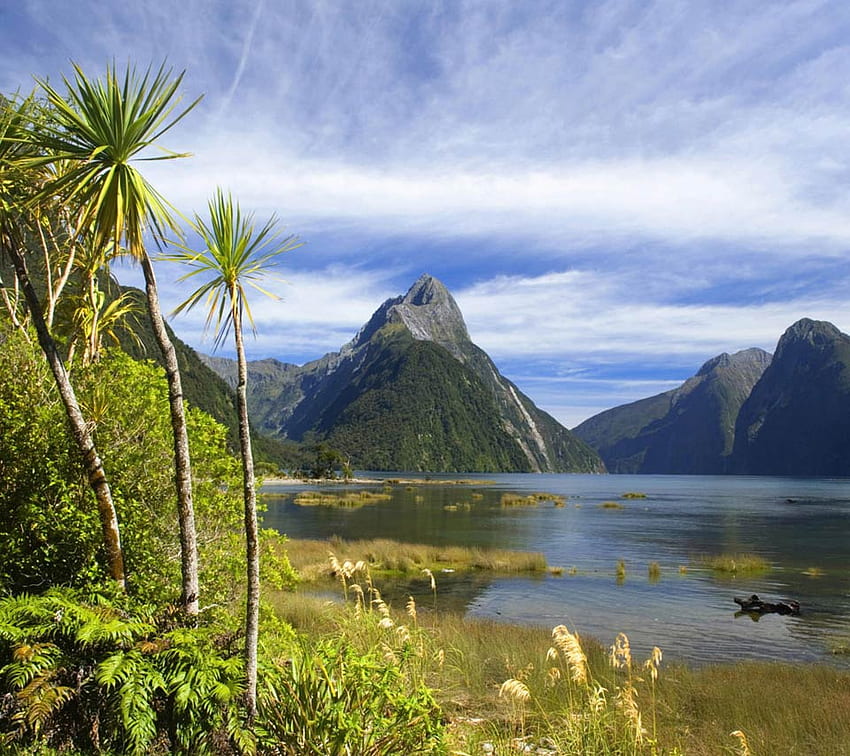 Nature's Beauty, blue sky, palm, trees, nature, mountains, beauty HD ...