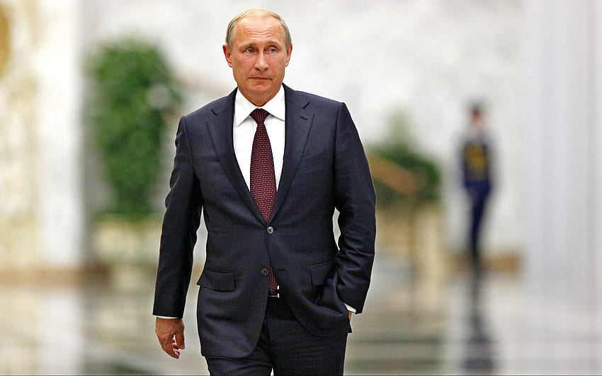 무적의 지도자 – 블라디미르 푸틴 – 회색 악어 HD 월페이퍼
