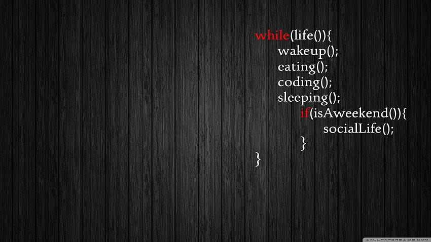 Coding Motivation Wallpapers - Top Free Coding Motivation Backgrounds -  WallpaperAccess