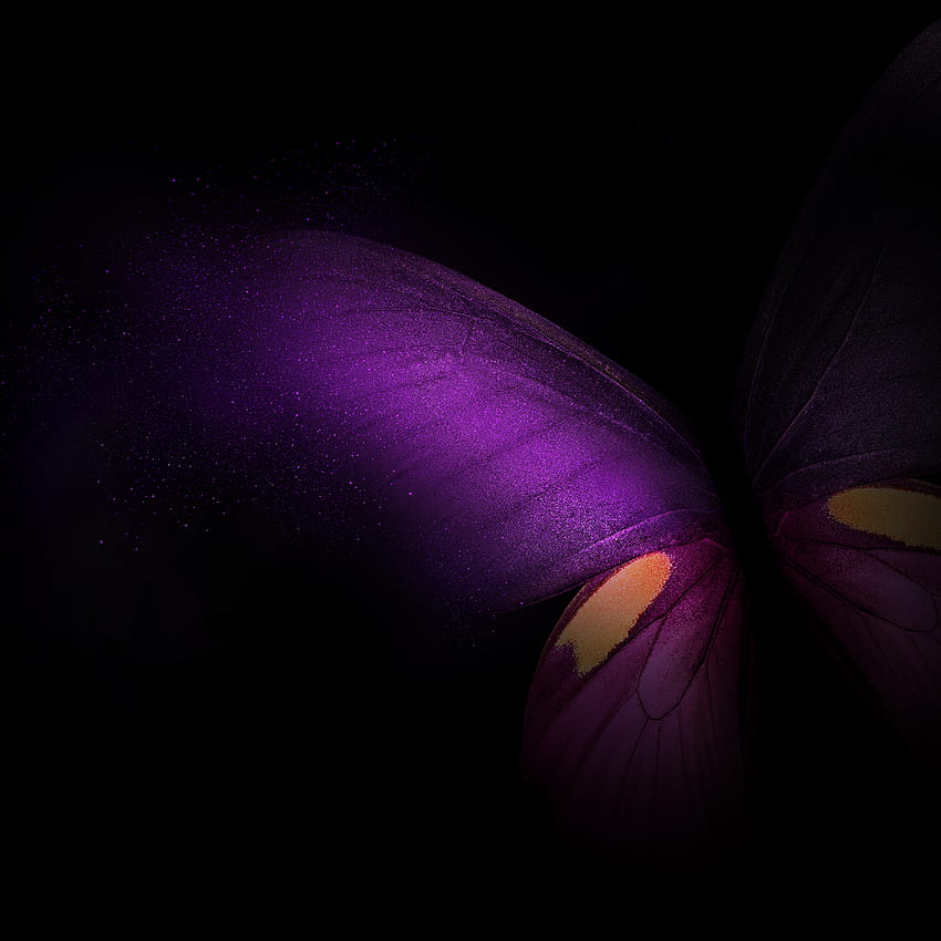 Samsung Galaxy Fold, Butterfly, Purple, Pink, Black Background, Dark, Black Dark,. For IPhone, Android, Mobile And HD phone wallpaper