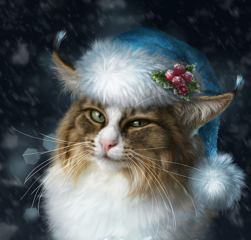Weihnachtskatze, blau, winter, alenaekaterinburg, beere, iarna, hut, neujahr, weiß, frumusete, mistel, craciun, elena roslyakova, katze, pisici, fantasie, rot, weihnachten, luminos HD-Hintergrundbild