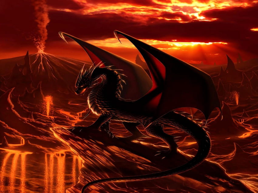 Red Dragon 3d Angry Dragon Hd Wallpaper Pxfuel