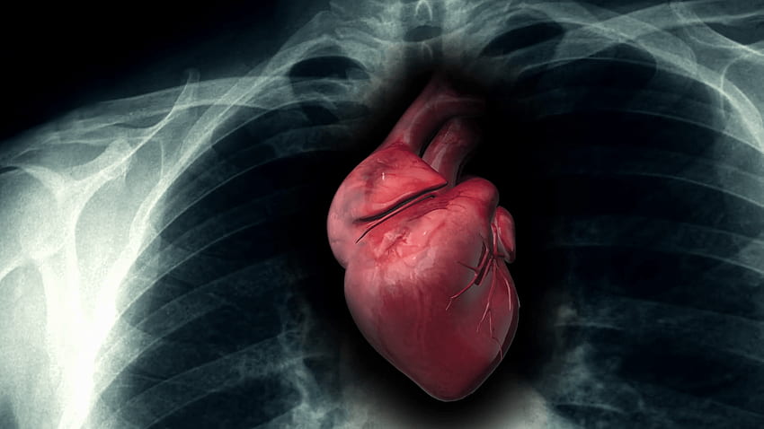 Sick Human Heart Inside Of X Ray Motion Background Videoblocks HD wallpaper