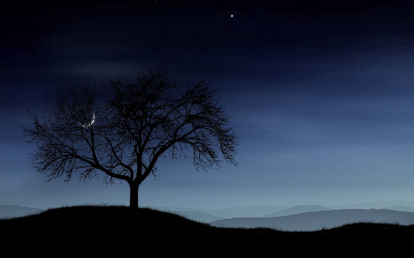 ดาว กลางคืน ดวงจันทร์ มืด เงา ไม้ ต้นไม้ หมอก เหงา วอลล์เปเปอร์ HD