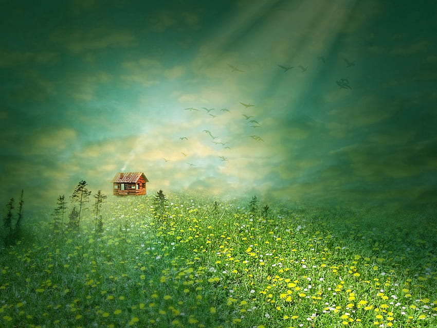 House In A Meadow, sinar matahari, fantasi, rumah, padang rumput, bunga Wallpaper HD