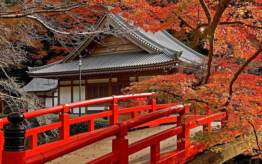 Other: Japanese Garden Autumn Maple Trees graphy Bridge HD wallpaper