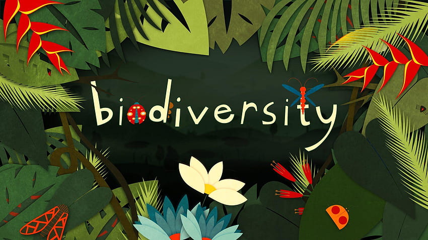 Diversità Biologica, Biodiversità Sfondo HD