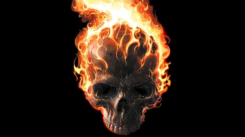 Flaming Skull, caveira, fundo preto, ilustração, chamas papel de parede HD