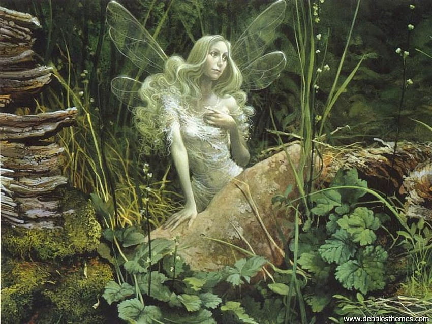 Fairy Garden of Dreams, wróżka, skrzydła, faerie, rośliny, ogród, samica Tapeta HD