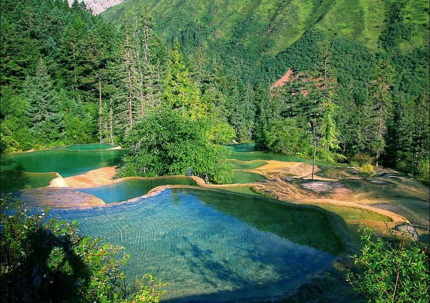 Национална гора Wudalianchi, природа, Китай, вода, гора HD тапет