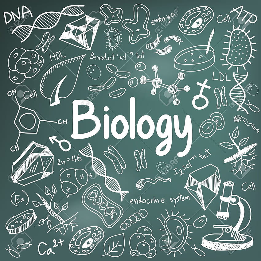 생물학 , 배경생물학 , 과학생물학 HD 전화 배경 화면