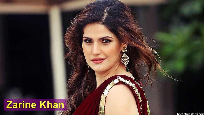 ZARINE KHAN HOT – televisionactress HD wallpaper