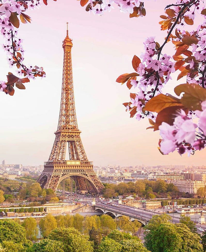 Torre Eiffel Parigi Tutto quello che devi sapere prima di partire [] per il tuo telefono cellulare e tablet. Esplora la Primavera del Louvre. Primavera del Louvre, Louvre Sfondo del telefono HD