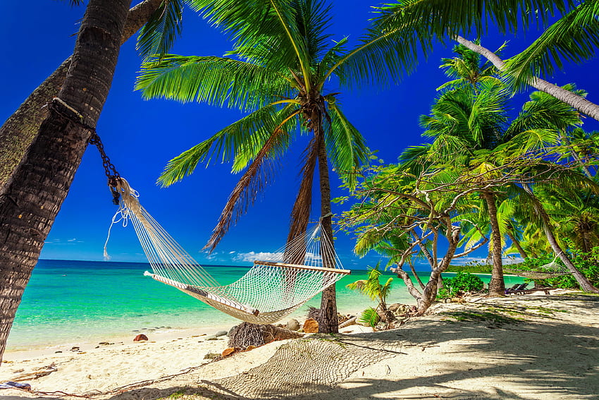 Tropical paradise, sea, palms, tropics, paradise, beautiful, relax, hammock, beach, rest, breeze, pretty, sands, sky, lovely, sun, ocean HD wallpaper