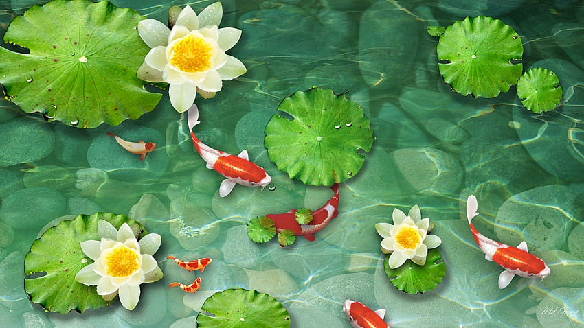 Balık Gölet Su Pedleri Bahçe Koi Havuzu iPad için Canlı Balık HD duvar kağıdı