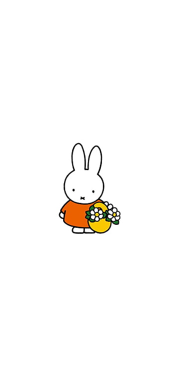 미피, miffy HD phone wallpaper | Pxfuel