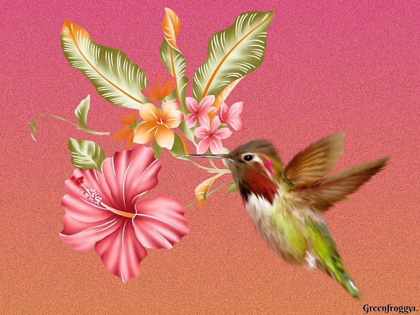 LITTLE HUMMINGBIRD, LITTLE, CUTE, CREATION, BIRD HD wallpaper