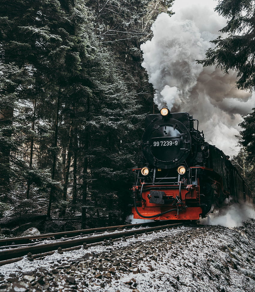 Rauch, Verschiedenes, Verschiedenes, Wald, Schienen, Zug, Lokomotive, Dampflokomotive HD-Handy-Hintergrundbild
