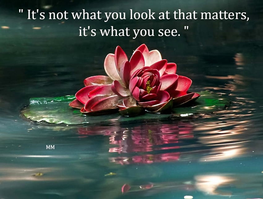 What You See, Pond, Lake, Nature, Quotes, Flower, Thoughts, Words HD wallpaper