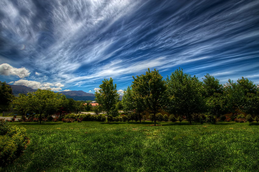 Natura, drzewa, trawa, niebo, chmury, linie Tapeta HD