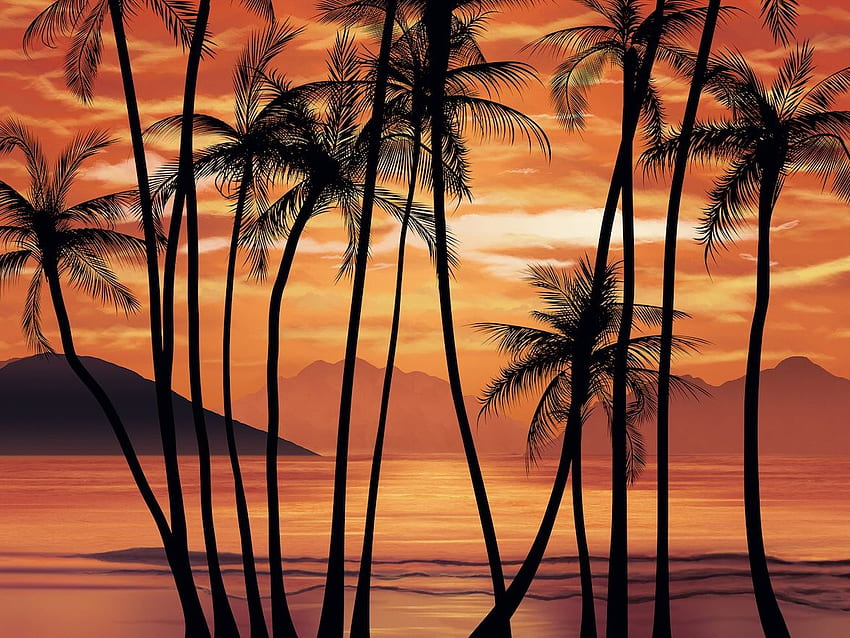 Scarface inspired tropical by George Leventidis on Dribbble, 80s Palm Tree Sunset HD wallpaper