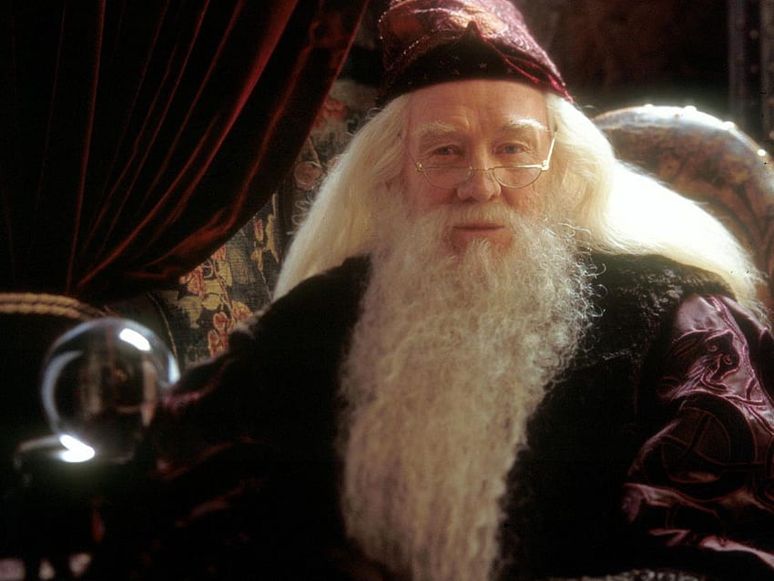 Albus Dumbledore Hogwarts Profesörleri 32795922 1024 768 HD duvar kağıdı