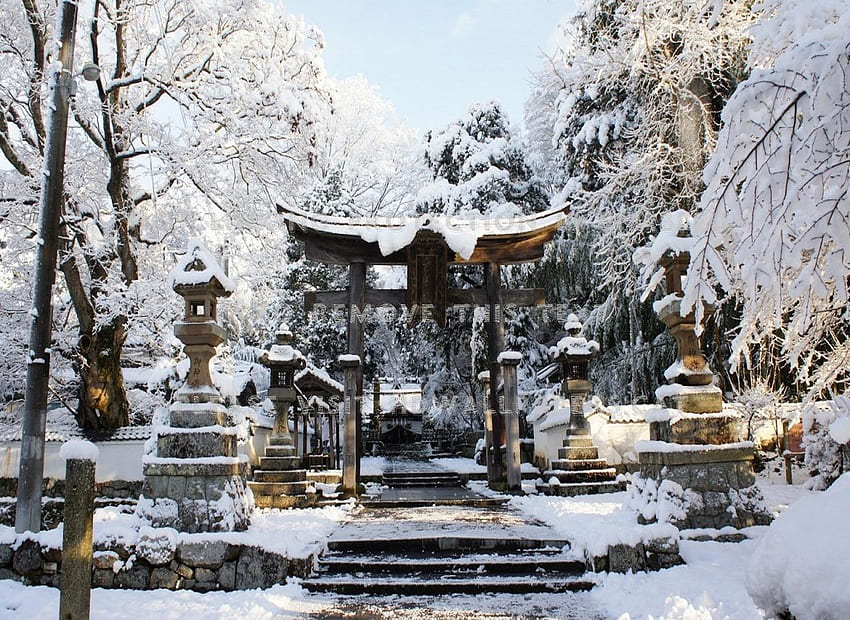 겨울 일본 도리 사원 일본 눈 HD 월페이퍼