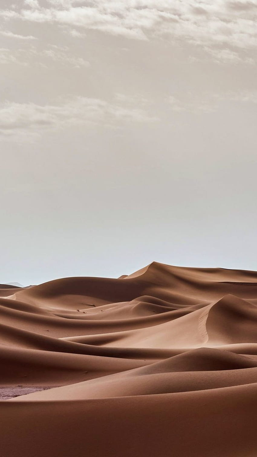 風景、砂漠の砂丘、自然、. 砂漠、砂漠の美学 HD電話の壁紙