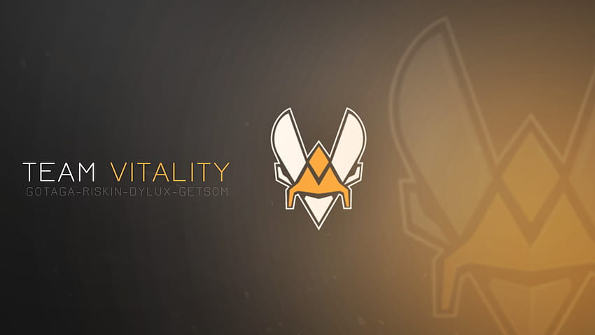 Vitality, Team Vitality HD wallpaper