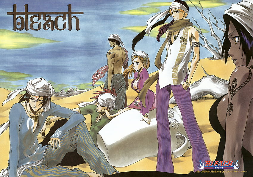 Bleach Anime, çamaşır suyu, ichigo, orihime, anime, chad, kurosaki, yoruichi HD duvar kağıdı