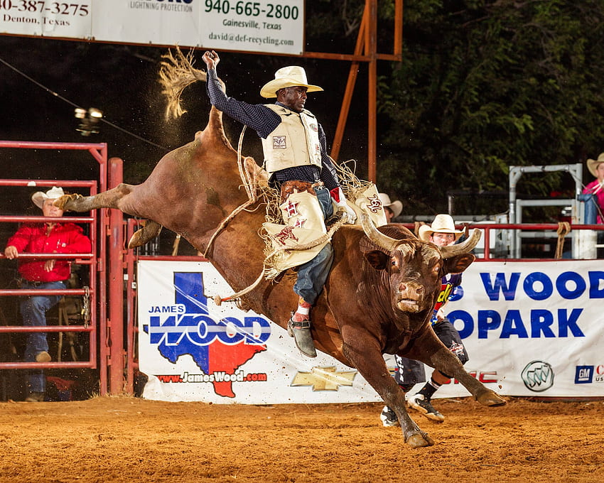 BULL RIDING bullrider cowboy western cow extreme rodeo d HD wallpaper