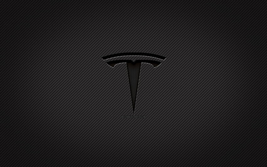 Logo karbon Tesla,, seni grunge, latar belakang karbon, kreatif, logo hitam Tesla, merek mobil, logo Tesla, Tesla Wallpaper HD