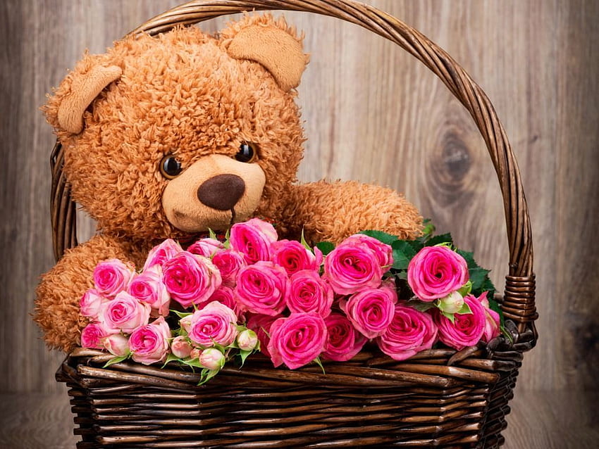 teddy bear in the rose basket. Teddy bear , Bear, Flower Teddy Bear HD wallpaper