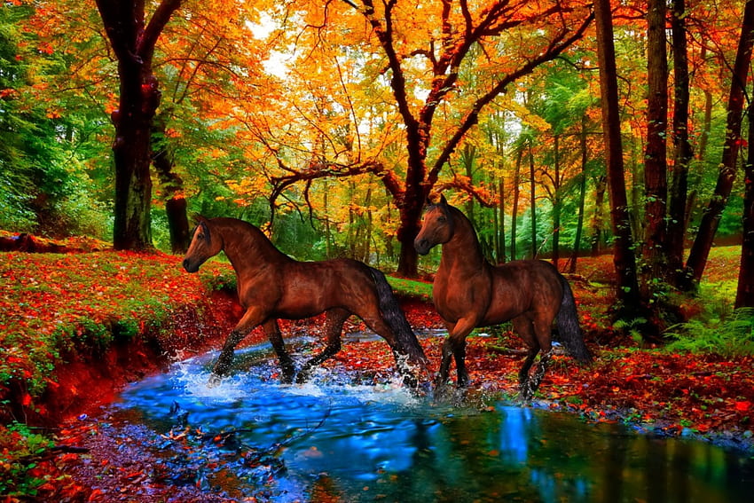 *Езда до есенната гора*, река, две, r, hq, сезони, езда до гората, пейзажи, коне, кафяво, , есен, природа, разкош, гора HD тапет
