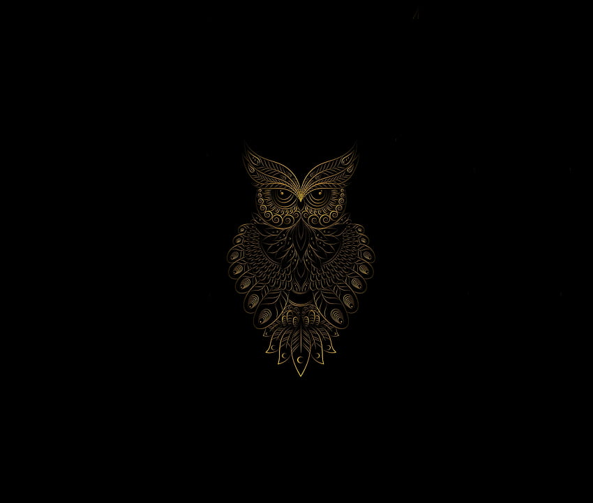 Golden Owl bird, pattern, art HD wallpaper