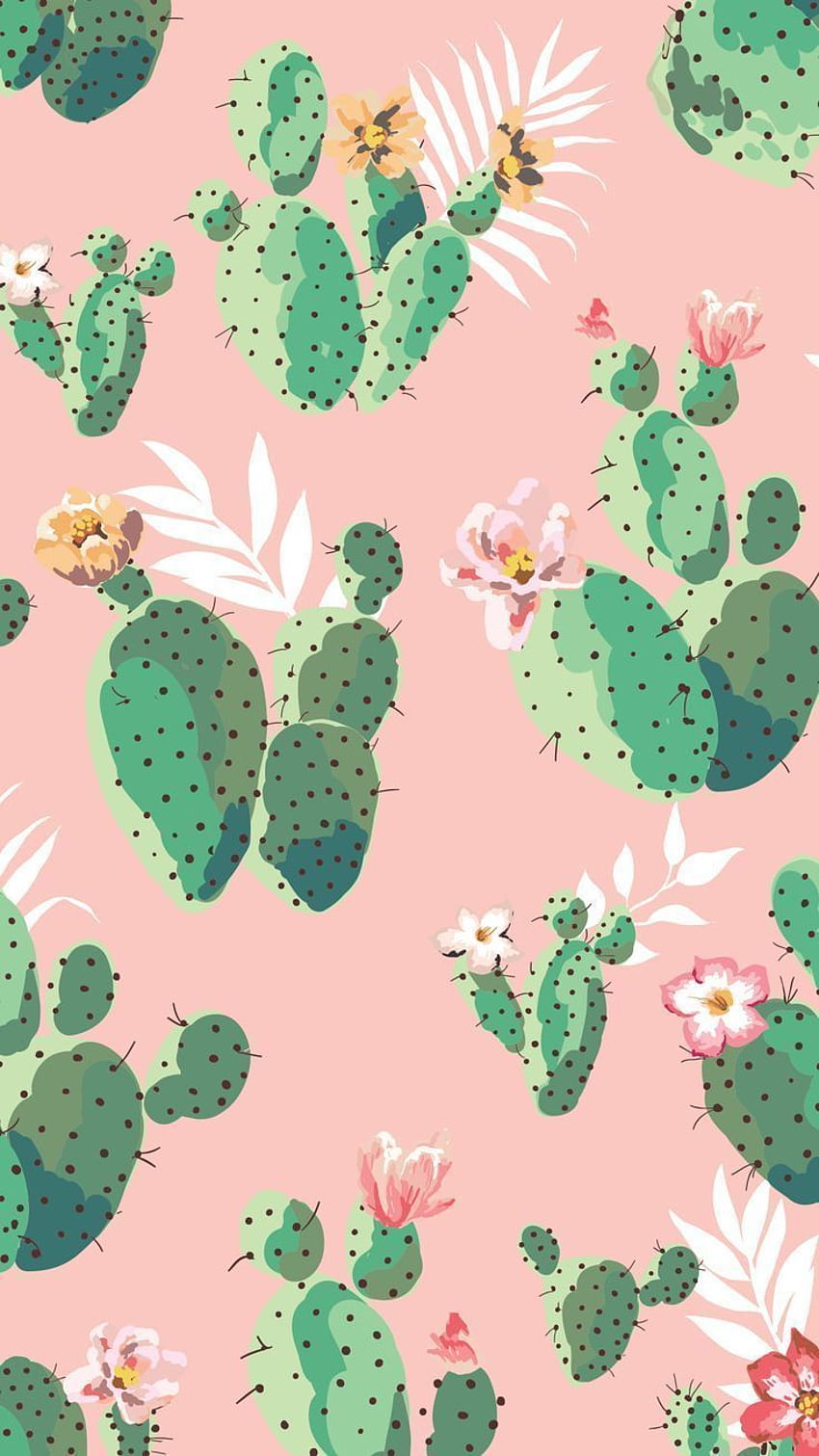 Pink and green cactus iphone . - HD phone wallpaper