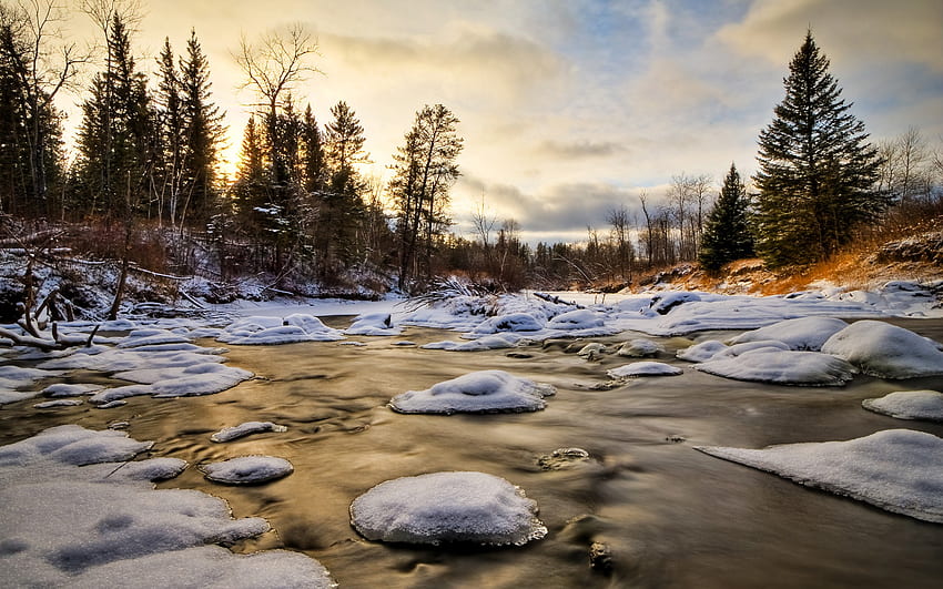 Icy River, rio, inverno, paisagem, frio, beleza, pedras, neve, gelo, árvores, natureza, céu, gelo papel de parede HD