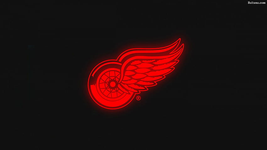 Detroit Red Wings - , Fundo do Detroit Red Wings no morcego, Jordan Wings papel de parede HD