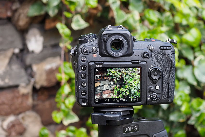 Наемете фотоапарат - 8 неща, които да опитате с Nikon D500 HD тапет