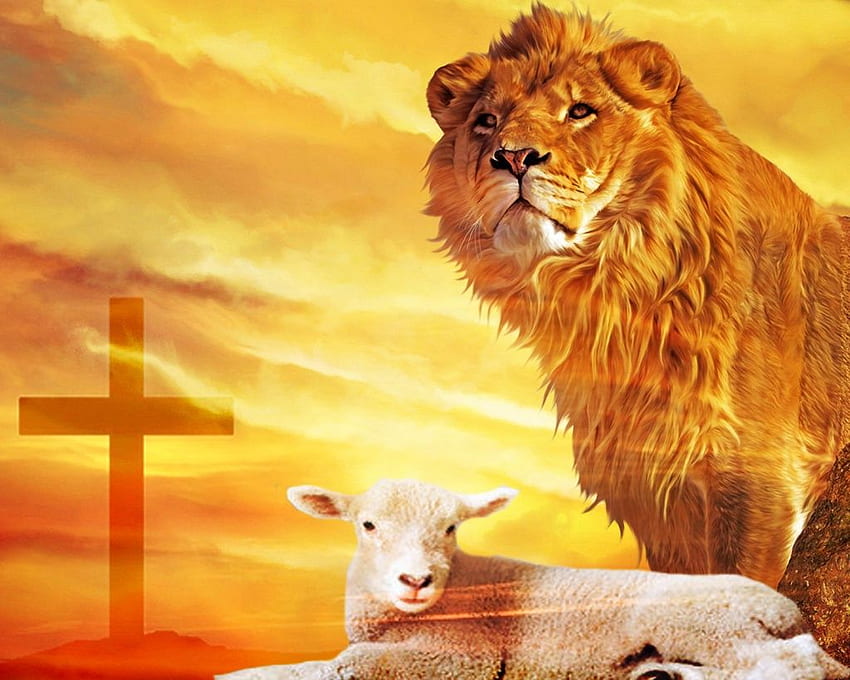 Lion Of Judah My Trust Is In You Quotes, Lion Cross HD wallpaper