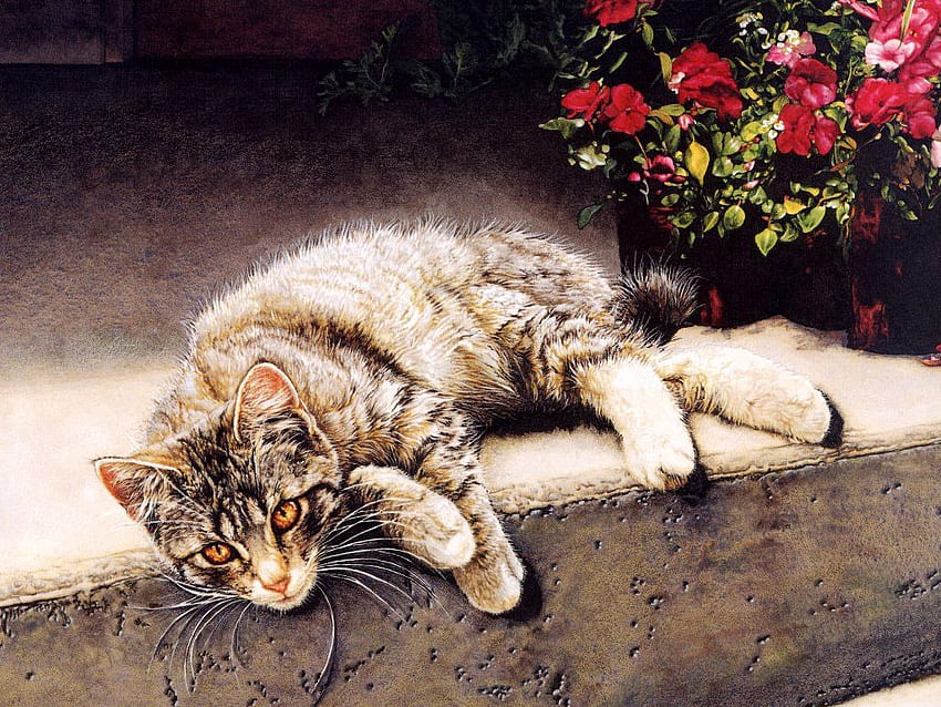 Cat resting, animal, kitten, rest, flower, cat HD wallpaper