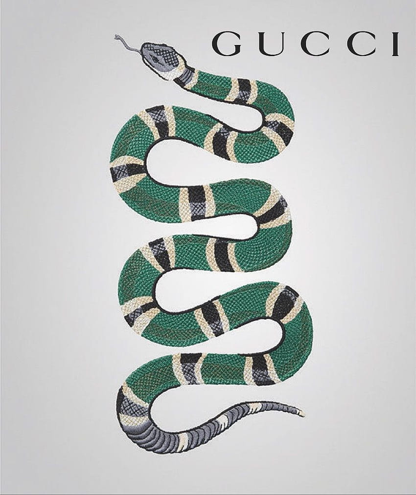 Gucci Snake Transparent Background  900x800 Wallpaper  teahubio
