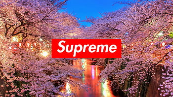 Supreme logo, supreme, nature, landscape HD wallpaper