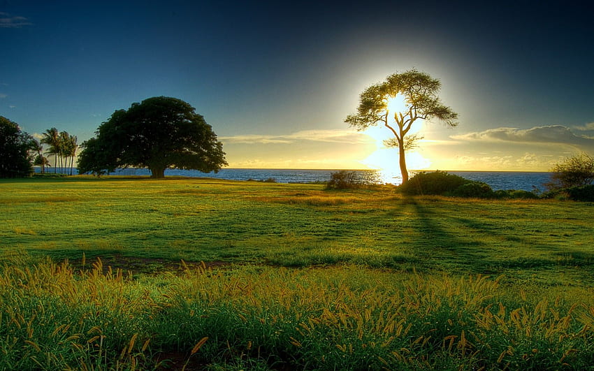 좋은 아침 햇살 자연과 배경 - 풍경 배경 Windows 10 HD 월페이퍼