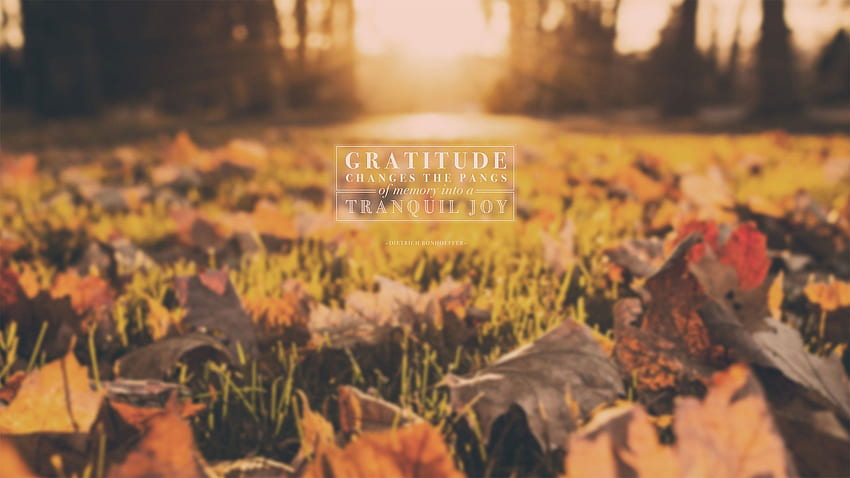 Wednesday : Gratitude Changes the Pangs of Memory HD wallpaper